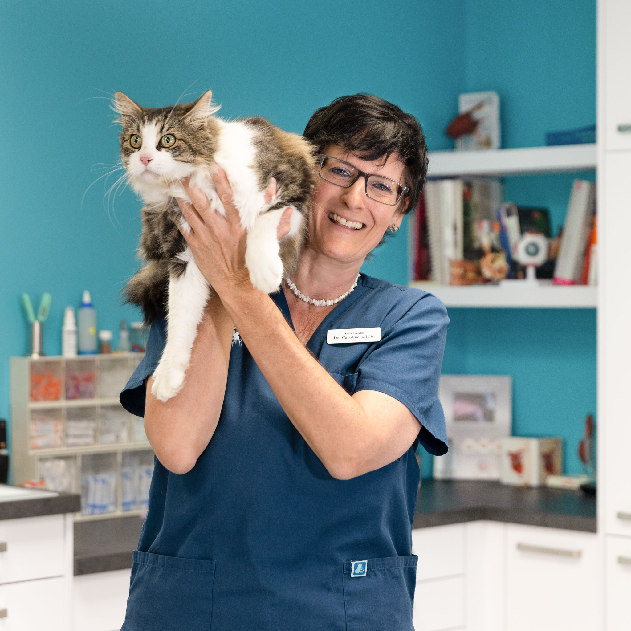 kleintierpraxis & tierpension dr. med. vet. anke horn