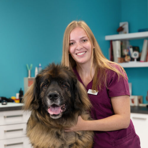 Unser Team – Kleintierpraxis